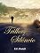 Livro Trilhas de Silêncio
