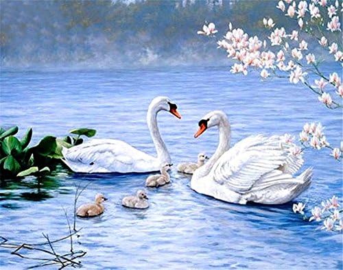 5D DIY Full Square Diamond Happiness Swan Lake Embroidery Cross Stitch Rhinestone Mosaic Painting