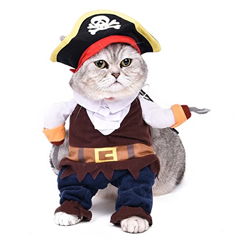 PAWZ Road Halloween Pirates of the Caribbean Pet Costume