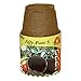 PLANTATION PRODUCTS Jp508 Round Peat Pot, 5-Inch, 6-Pack