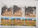 4,500 Live Ladybugs - Good Bugs - Guaranteed Live Delivery!