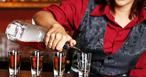 6 Upgrade+Liquor+Bottle+Pourers+Food+Stainless