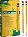 Pack of 30 Art Frenzy Wood-Cased 2HB Pencils - Yellow Wooden Lead Pencils with Latex-Free Eraser - Pre-Sharpened - by Utopia Home