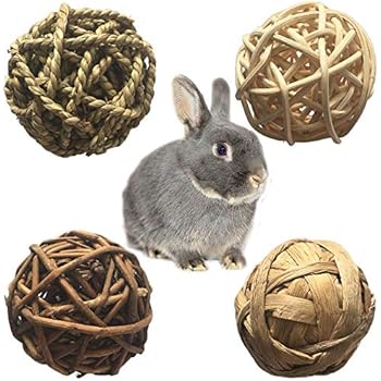 PIVBY Small Animal Activity Toy,Pets Play Chew Toys for Bunny Rabbits Guinea Pigs Gerbils, 4 Pack