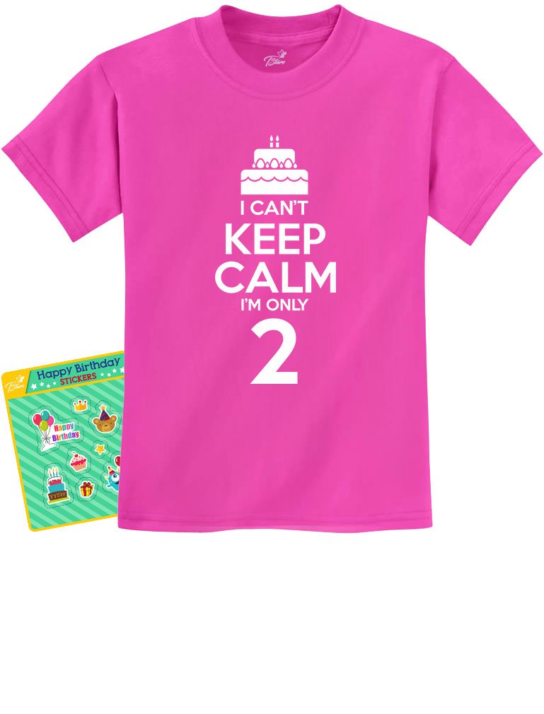 Second Birthday Boy Shirt, 2nd Birthday Shirt for Boys (2T