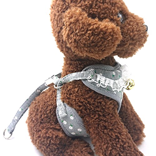 M2cbridge Small Dog Harness Leash Leads Set Step-in Soft Mesh Vest Cat Collar (M, Gray)