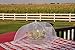 (4pk) 16 inch Collapsible Mesh Food Cover Tent Umbrella Set with Storage Bag - Reusable Covers Protect from Flies and Bugs - Best Net Protector for Outdoor BBQ Party Picnic Wedding and Easily Fold Up
