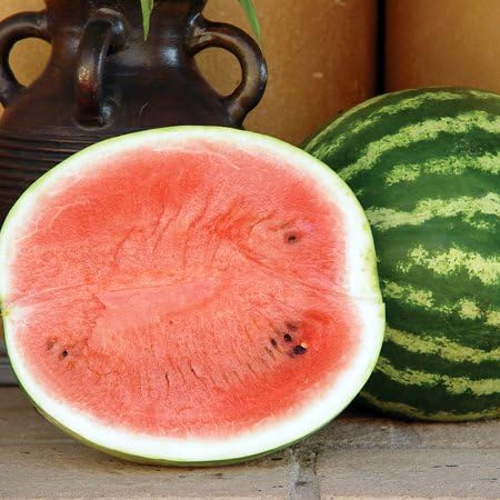 Amiga F1 Watermelon Seeds 10 Seed Pack by OrganicSeedSupply