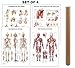 [Pack of 4] Muscular and Skeletal System Anatomical Laminated Posters with Ligaments of The Joints and Injuries of The Shoulder Poster/Skeleton Poster Pack Human Anatomy Poster Medical Poster 17 x24