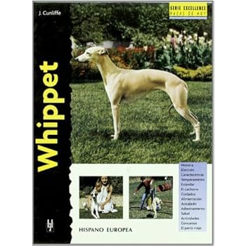 Whippet (Excellence) Whippet (Excellence)