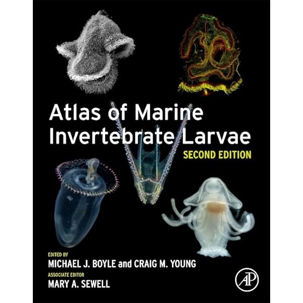 洋書 CRUSTACEA Guide Of The World Crustacea Guide Of The World: Helmut Debelius: 9783931702748