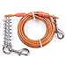 MFPS Favorite Tie Out Cable for Dogs, 30-feet, 3 Colors (Orange)