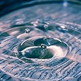 Simply Rain: 11 Loopable Real Nature Sounds to Help
