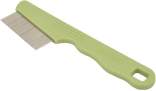 brittany spaniel puppy pictures