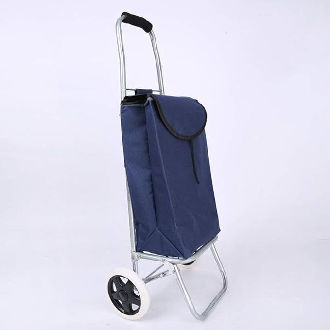 Carro De Compras Portátil Tranvía for Personas Mayores Carro De Compras 4 Ruedas Adecuado for IR Carro De Compras Portátil Tranvía for Personas Mayores Carro De Compras 4 Ruedas Adecuado for IR