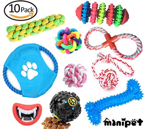 MiNiPet Dog Toys Pet Cat Interactive Chew Squeak Toy Teeth Cleaning Ball Cotton Rope 10 Pack Gift Set For Puppy