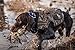 ALPS OutdoorZ Delta Waterfowl Dog Vest, Medium