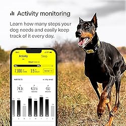 Fi Series 3 Smart Dog Collar - GPS Dog Tracker and