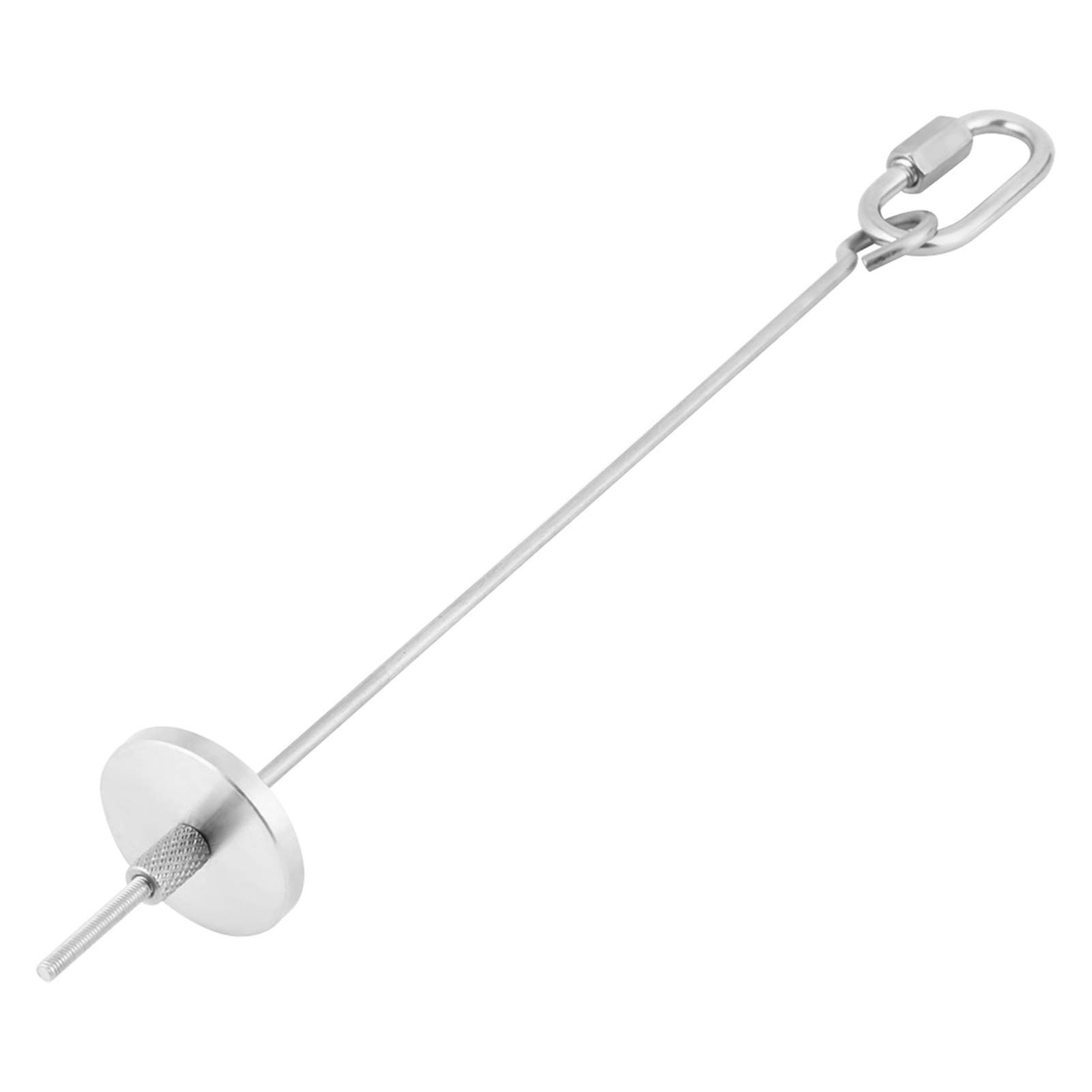 HEEPDD Stainless Steel Parrot Food Skewer Holder, Large Size, Bird Cage Foraging Toy, Fruit Vegetable Meat Treating Tool, Silver, 3 x 22cm