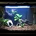 MingDak LED Aquarium Light Kit for Fish Tank,Underwater Submersible Crystal Glass Lights Suitable for Saltwater and Freshwater,42 LEDs,14.5-inch,Lighting Color White