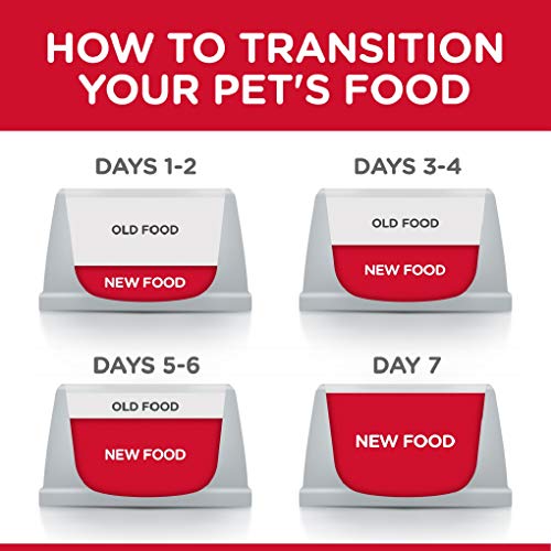 Hills-Science-Diet-Canned-Wet-Dog-Food-Adult-Perfect-Weight-for-Weight-Management-Chicken-Vegetable-Recipes-Pack-of-12