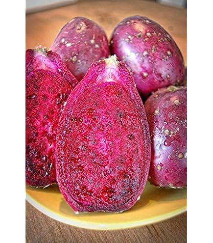 Amazon.com: Prickly Pear Cactus Fruit (Set of 6) : Grocery & Gourmet Food
