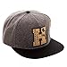 Harry Potter Hogwarts Alumni Hufflepuff Snapback Baseball Hat Grey