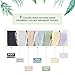 Benatu Green Clay Mask - 100% Natural & Organic Dead Sea Mud + Silicone Brush for Face [ACNE] 75g