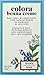 Colora Henna Creme, Brown, 2 Ounce