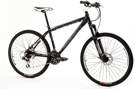 raleigh freeride