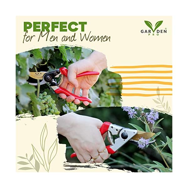 Ergonomic Pruners for Professionals