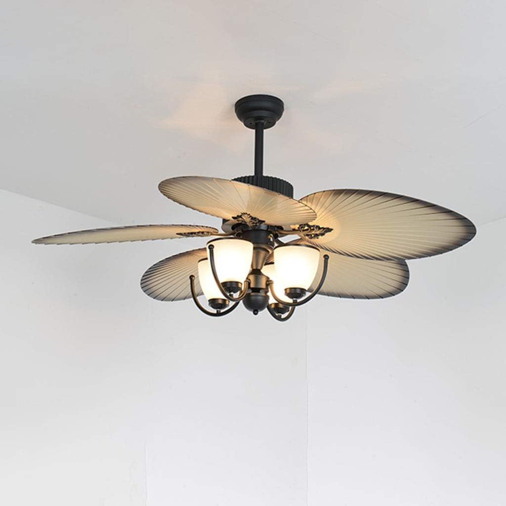 Amazon Com Ceiling Fan Light Kits Ceiling Fan Light Restaurant