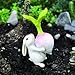 Miniature Fairy Garden Bunny With Turnip Figurine