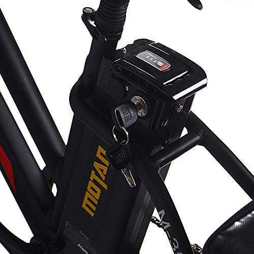 addmotor motan fat tire trike