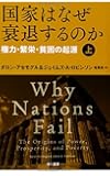 国家はなぜ衰退するのか(上):権力・繁栄・貧困の起源