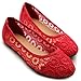 Ollio Women's Ballet Shoe Floral Lace Breathable Flat