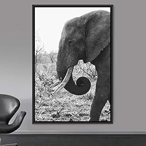 signwin Framed Canvas Wall Art Duotone Elephants Animals...