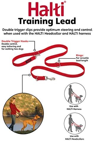 halti dog training lead