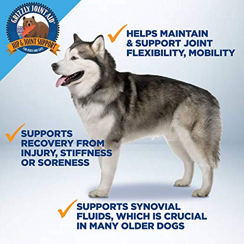 Grizzly Joint Aid for Dogs Liquid Hip and Joint Support (Extra Strength
