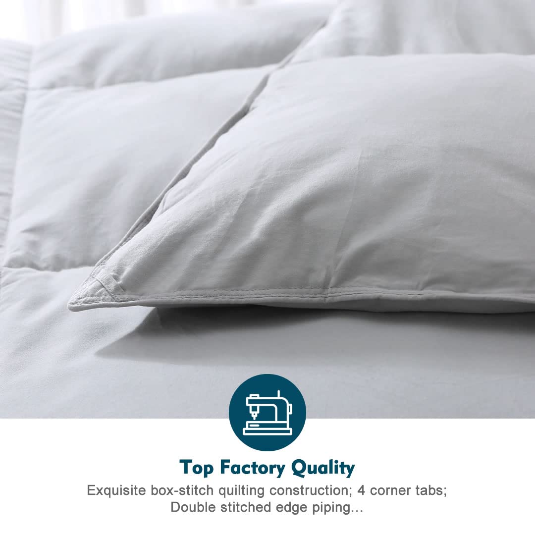 Oaken-Cat Gray Feathers Down Comforter California