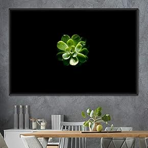 signwin Framed Canvas Wall Art Green Succulent Portrait...