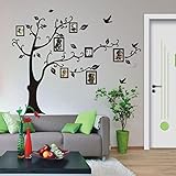 Clearance! Wall Stickers,Canserin 180×250cm 3D DIY Photo Tree PVC Wall Decals Adhesive Wall Stickers Mural Art Home Decor