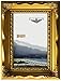 MyFrameStore Golden 8x10 Imperial Wooden Picture Antique Gold Color | Exclusive Floral Molding Design for Wedding, Hallway, Bedroom, Living Room & Office Décor Photo Frame, Wall Mounting Material