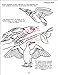 Butterflies, Birds & Bugs Coloring Book (8.5x11)