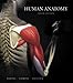 Human Anatomy