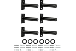 FITENLOR Weight Plate Holder, Steel Wall Mounted Weight Plate Rack Storage for 2" Weight Plate, Mounting Hardware Included