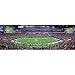 MasterPieces NFL Minnesota Vikings Stadium Panoramic Jigsaw Puzzle, 1000 Pieces