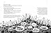 Outside: A Guide to Discovering Nature