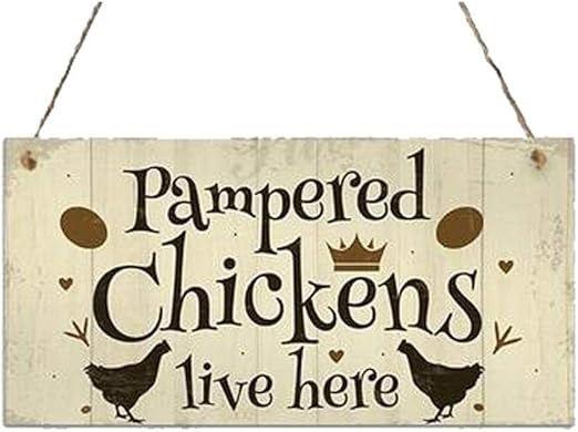 Amazon Com Flowop Hanging Wall Art Wood Chicken Coop Hanging
