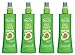 Lot of 4 Garnier Fructis Haircare Fall Fight Strand Saver Anti-Breakage Spray